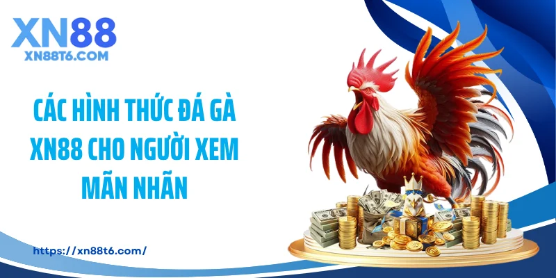 Các hình thức đá gà XN88 cho người xem mãn nhãn